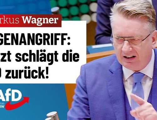 Gegenangriff: Jetzt schlägt die AfD zurück!