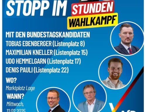 AfD-Kundgebung in Lage am 12.02.!