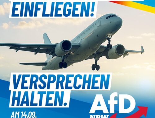 Eine echte Migrationswende gibt es nur mit der AfD!