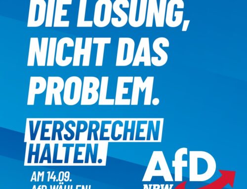 Altparteien beurlauben, Problemlöser nach vorne!