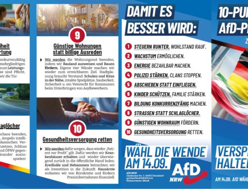 Am 14.09.2025 mit allen Stimmen AfD wählen! Wahlprogramm online!